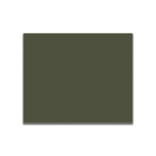 LifeColor paint forest green