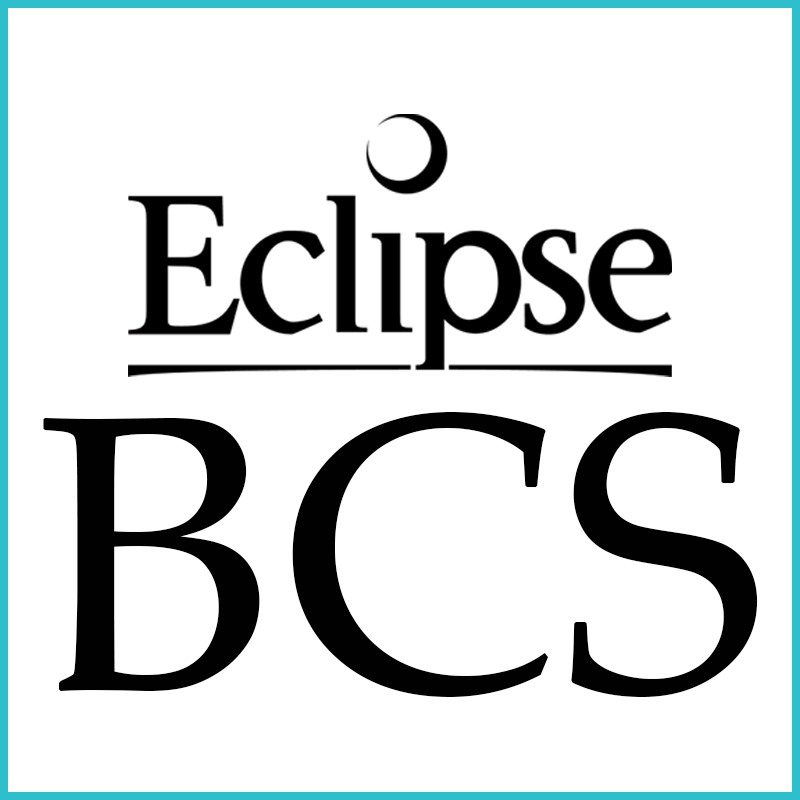 Iwata eclipse BCS