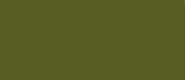 LifeColor Green (22ml) FS 34127